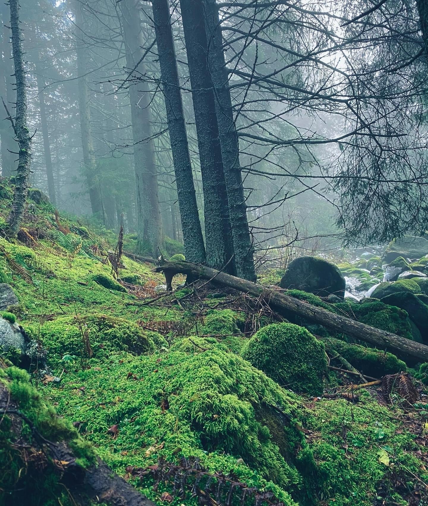 BARE HANDS SOCIETY "OUT OF OFFICE" OVER THE HEAD JACKET