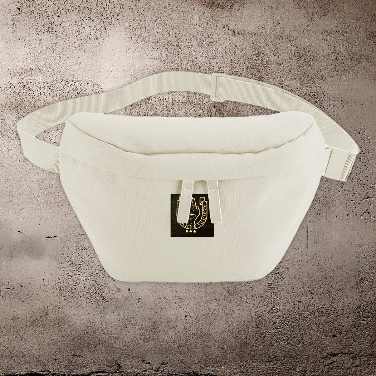 BHS RECYCLED POLYESTER WAISTPACK